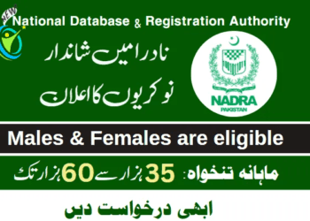 Latest Nadra Advertisement Jobs 2023 | Online Apply