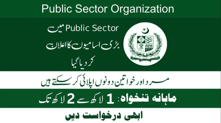 Public Sector Organization Jobs 2025 | Online Apply