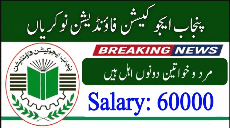 Latest Punjab Education Foundation Management Jobs 2025