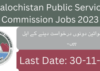 Bpsc Jobs 2023 Ads 142023 Online Applypakjobs.pk