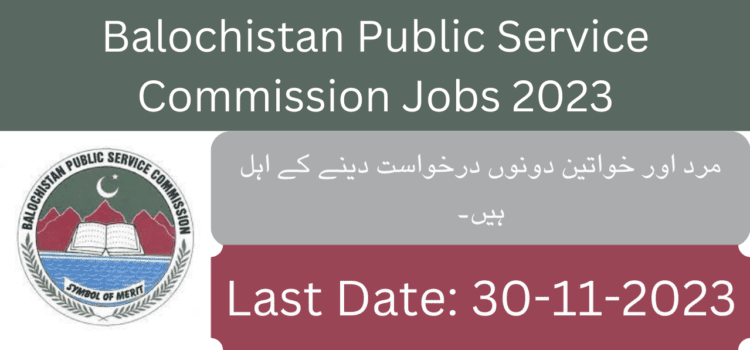 Bpsc Jobs 2023 Ads 142023 Online Applypakjobs.pk