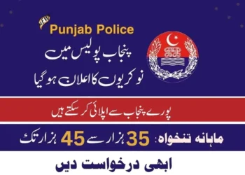 Punjab Police Jobs 2023 Online Apply At Applypakjobs.pk