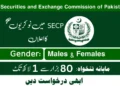Latest SECP Jobs 2023 Apply Online| No Applypakjobs. pk Secp Jobs 2023 Apply Onlineapplypakjobs.pk