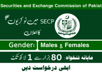 Secp Jobs 2023 Apply Onlineapplypakjobs.pk