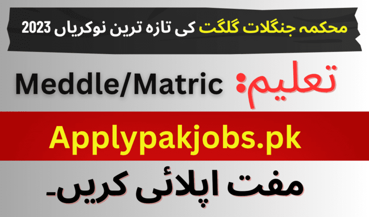Latest Forest Department Gilgit Jobs 2023 Online Apply