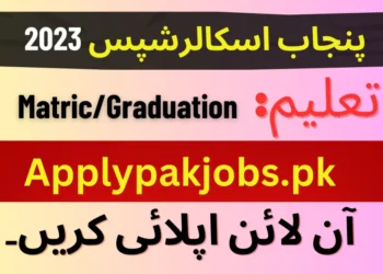 Latest Punjab Scholarships 2023 For Fa Ma Apply Online