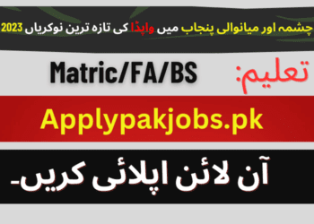 Latest Wapda Jobs In Chashma &Amp; Mianwali Punjab 2023