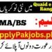 _Quaid E Azam Rangers School &Amp; College Jobs 2023