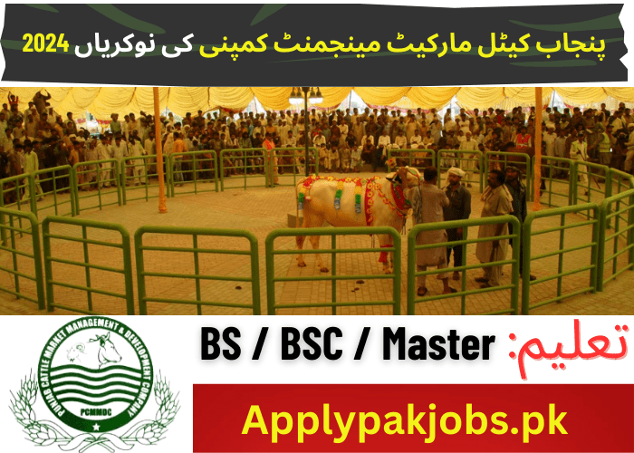 Latest Punjab Cattle Market Management Company Jobs 2024