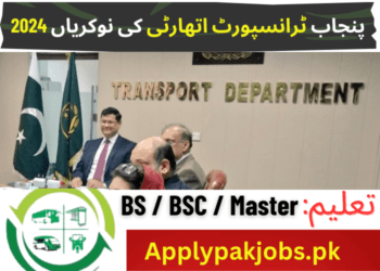 Punjab Provincial Transport Authority Latest Jobs 2024