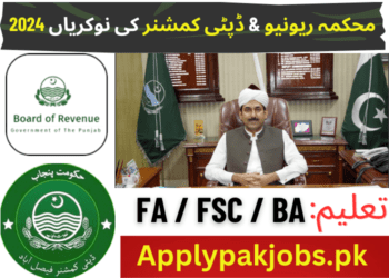 Revenue Department &Amp; Deputy Commissioner Latest Jobs 2024