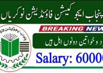 Latest Punjab Education Foundation Management Jobs 2025 Latest Punjab Education Foundation Management Jobs 2025