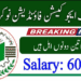 Latest Punjab Education Foundation Management Jobs 2025